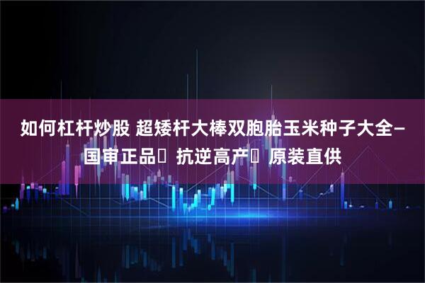 如何杠杆炒股 超矮杆大棒双胞胎玉米种子大全—国审正品・抗逆高产・原装直供