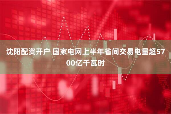沈阳配资开户 国家电网上半年省间交易电量超5700亿千瓦时