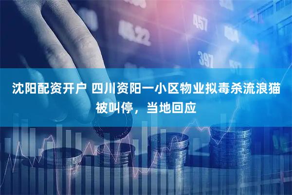 沈阳配资开户 四川资阳一小区物业拟毒杀流浪猫被叫停，当地回应